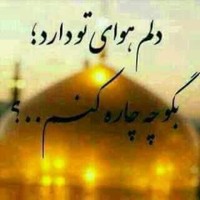 Z Parcham