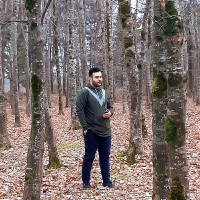 Mohammad Hossein S.