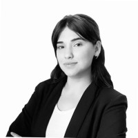Damla Çınkır, LL.M