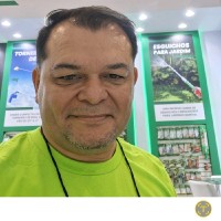 Nilton Oliveira Lima