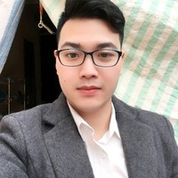 Hoa Nguyen Viet