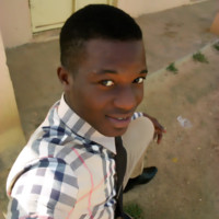 Osaumamwen Steven Ighodaro