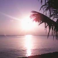 Rintsamahefa Rabemanantsoa