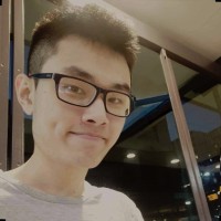 Ziqi Chen