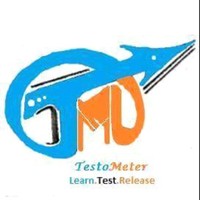 Testo Meter