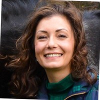Amber E. Gresh