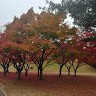 한상우