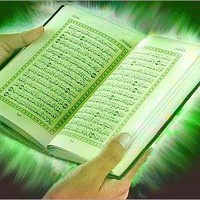 faizan ali