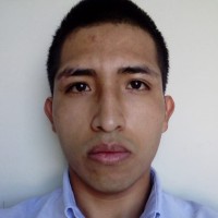 Raul Salomon Mamani Puente