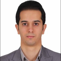 Amir hossein Amini nia