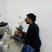 Rahul Jain