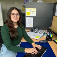 Vesa Shabani