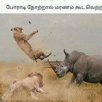 Yashpaul Raja