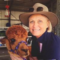 Deb Baldwin
