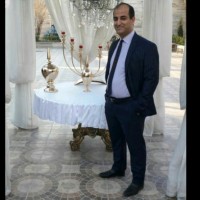 majid kamali