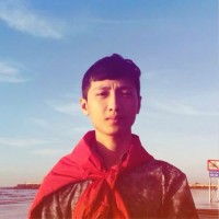 Luan Nguyen Dinh