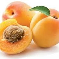 Appri Inc