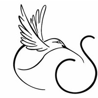 Sofi Enterprises