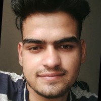 Vikash Chamoli