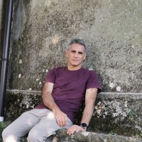 Stefano Tesi