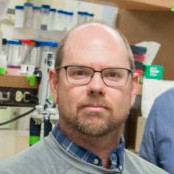 David Edgell