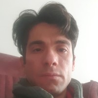 Davod Daivid