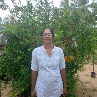 Disna Jayawickrama