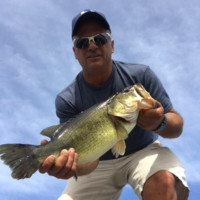 Todd Angus