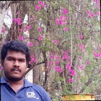 Ranganatha L V