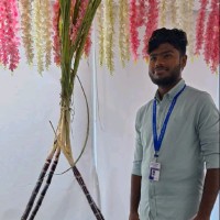 Hari Krishnan K