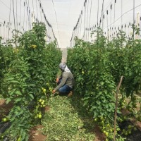 Carlos Felipe Dávila Obregón