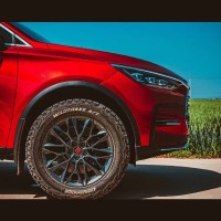 Landspidertyre Scott