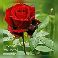 Mamtesh Sharma