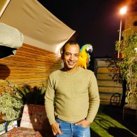 عماد فتحي
