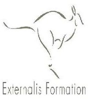 Externalis Formation