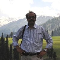 V Sridhar