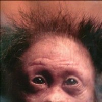 Robby Michael
