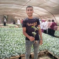 Ibrahim Ragab