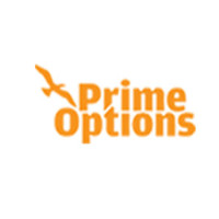 Prime Options The Marketing Genie