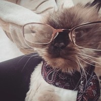Lola Baggins