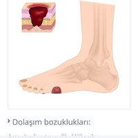 Gursel Berkpınar