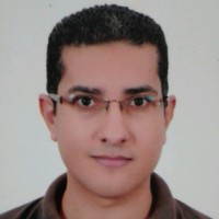 walid ahmed