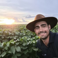 Heitor Junqueira Vilela