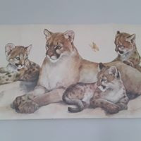 Teri Lois Jefferies
