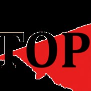 Top Sul Information Technology