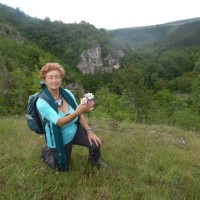 Mila Napetova
