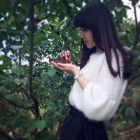 刘佳迪