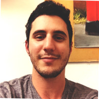 Tomer Shvebish