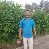 Dash Behera