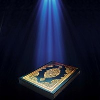 Shaikh Uk